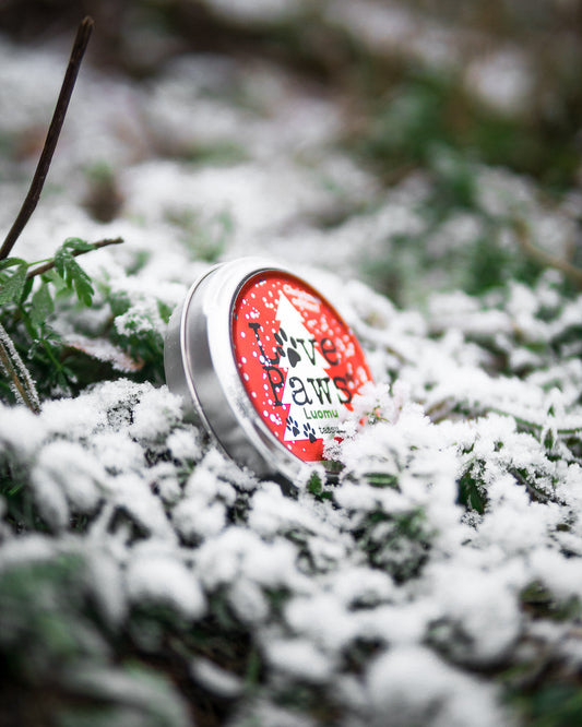 LOVEPAWS® Winter Edition Tassuvaha – suojaa ja hoitaa koiran tassut talvella