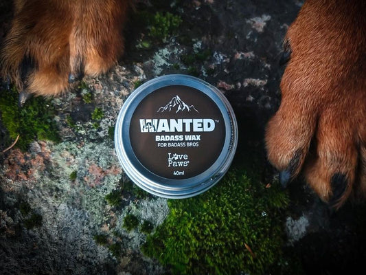 WANTED™ TASSUVAHA ÄIJÄVERSIO 40 ml